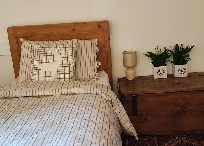 Maso Barisei * 特伦托